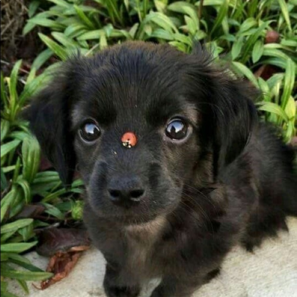 Meet your Posher, Jacquelyn j